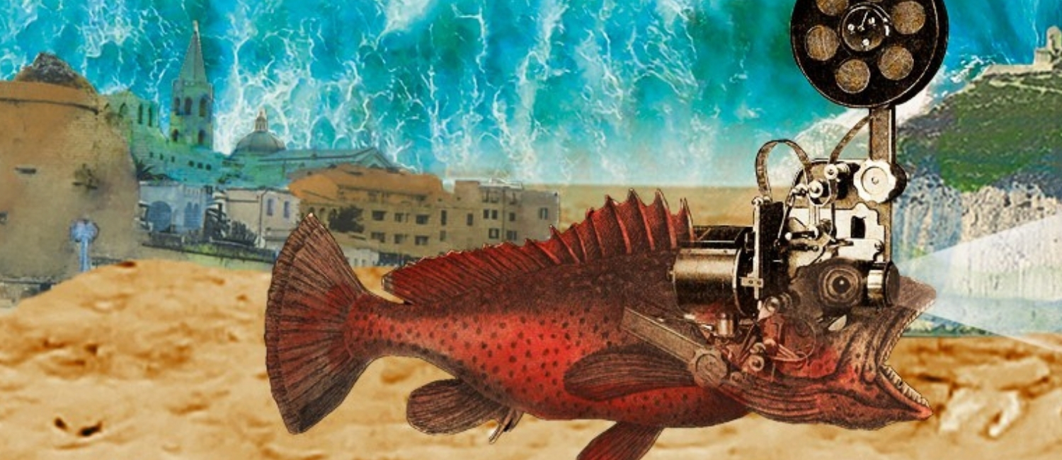 Cinema delle Terre del Mare - Festival itinerante per cinefilə in movimento