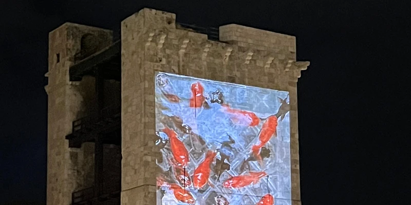 "IN VERTICALE. Cartoline dalla Sardegna