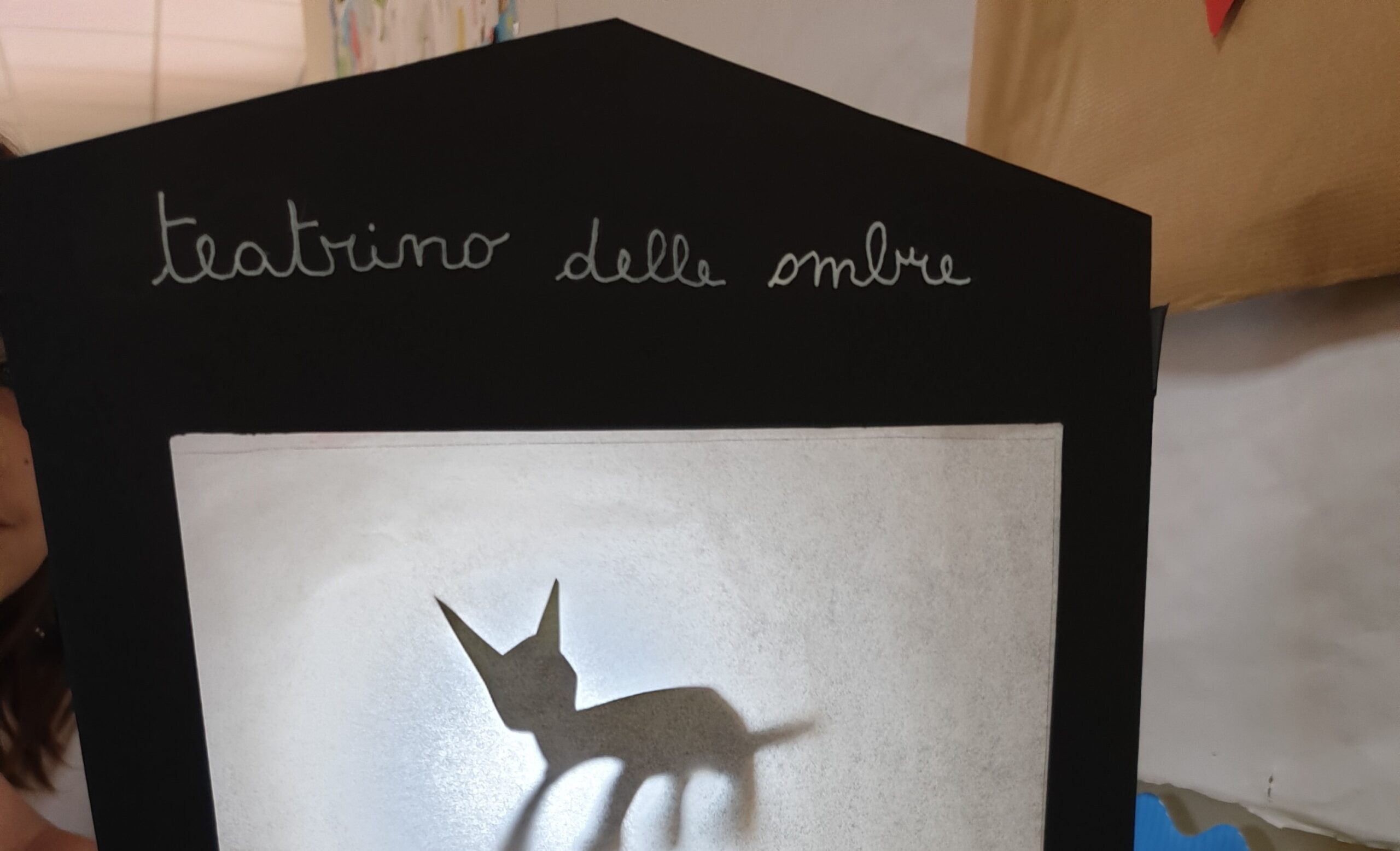 "Il teatro delle ombre