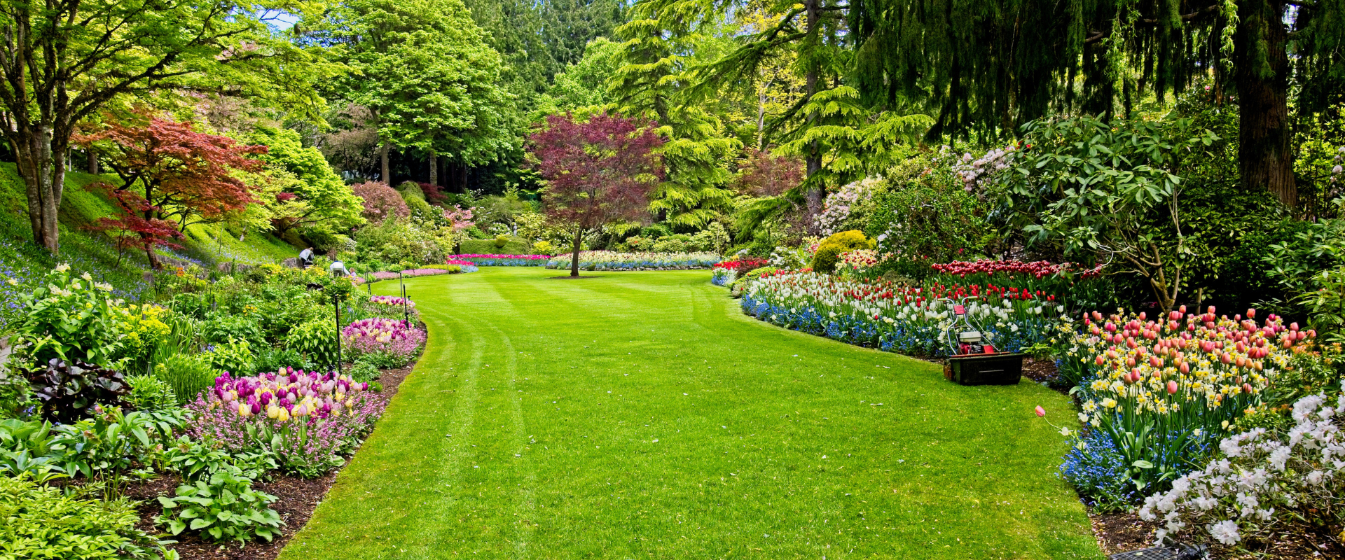 "Giardinaggio base e Vivaismo