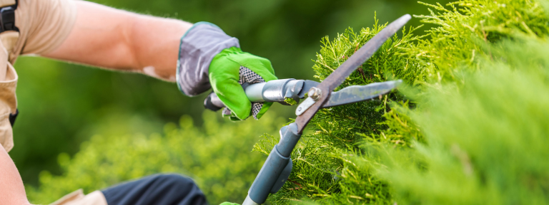 "Manutentore del verde