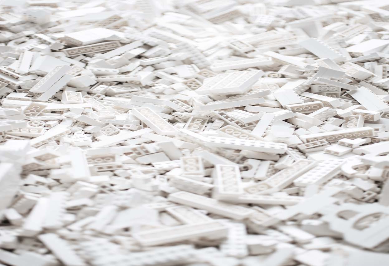 "Master in Project Management per lo Sviluppo – MaPS